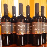 Degustazione Merlot, Cabernet Franc e Refosco, 6 bottiglie