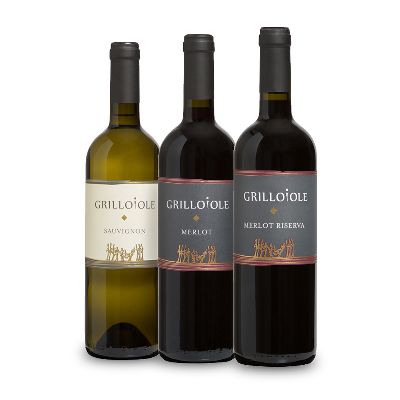 Tasting of international wines (pack of 3 bottles)