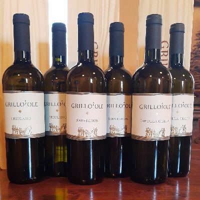 Tasting of white wines (pack of 6 bottles)