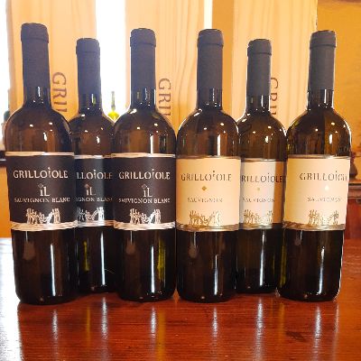 SAUVIGNON (pack of 3 bottles)