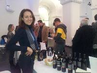 Wine tasting at Museums Quartier in Vienna